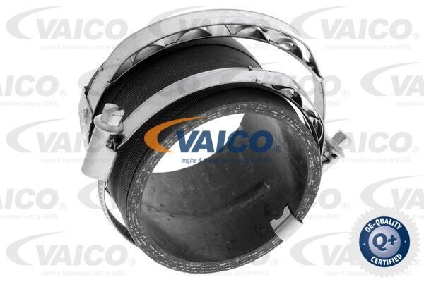 Vaico V251039 Ladeluftschlauch V251039: Kaufen Sie zu einem guten Preis in Polen bei 2407.PL!