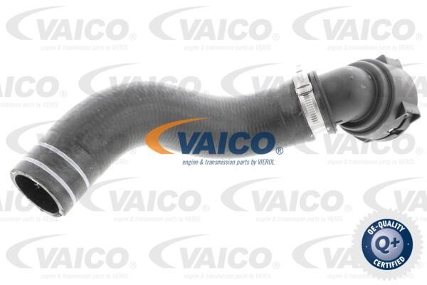 Vaico V240833 Radiator Hose V240833: Buy near me in Poland at 2407.PL - Good price!