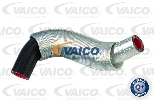 Vaico V420562 Charger Air Hose V420562: Buy near me in Poland at 2407.PL - Good price!