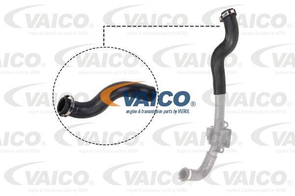 Vaico V460830 Charger Air Hose V460830: Buy near me in Poland at 2407.PL - Good price!