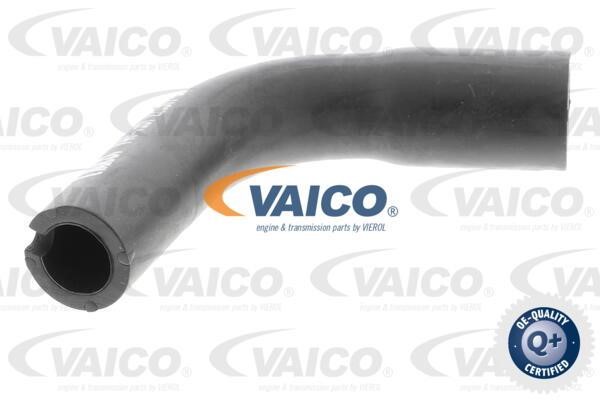 Vaico V401991 Шланг, вентиляция картера V401991: Отличная цена - Купить в Польше на 2407.PL!
