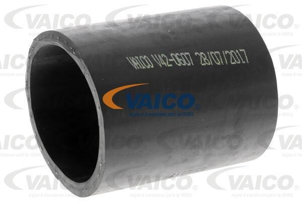Vaico V420607 Charger Air Hose V420607: Buy near me in Poland at 2407.PL - Good price!