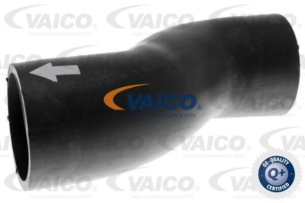 Vaico V251237 Горловина заливная бака топливного V251237: Отличная цена - Купить в Польше на 2407.PL!