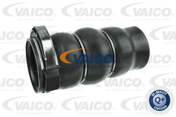 Vaico V420606 Charger Air Hose V420606: Buy near me in Poland at 2407.PL - Good price!