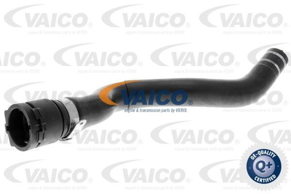 Vaico V240844 Шланг радиатора V240844: Отличная цена - Купить в Польше на 2407.PL!