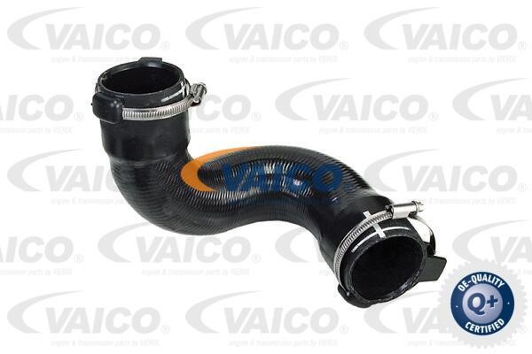Vaico V420587 Charger Air Hose V420587: Buy near me in Poland at 2407.PL - Good price!