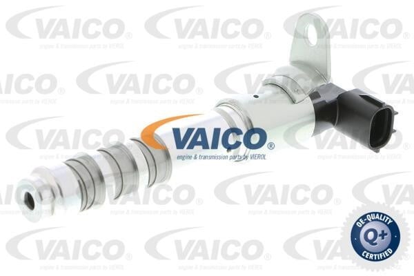 Vaico V401557 Camshaft adjustment valve V401557: Buy near me in Poland at 2407.PL - Good price!