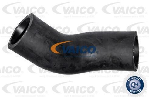 Vaico V402003 Kühlerschlauch V402003: Kaufen Sie zu einem guten Preis in Polen bei 2407.PL!