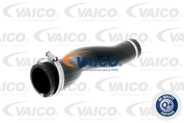 Vaico V250991 Патрубок турбокомпрессора V250991: Отличная цена - Купить в Польше на 2407.PL!