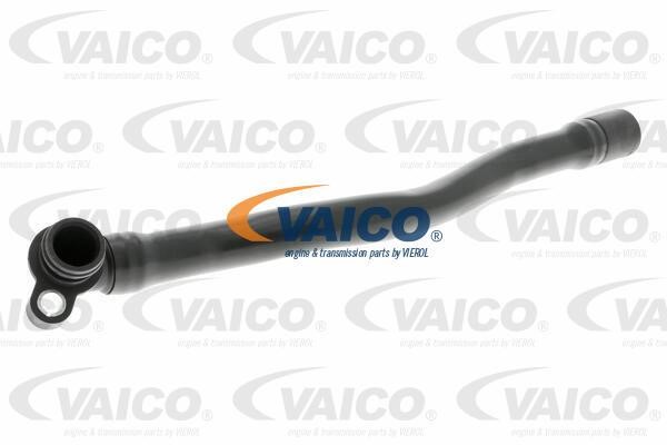Vaico V104694 Hose, cylinder head cover breather V104694: Buy near me in Poland at 2407.PL - Good price!