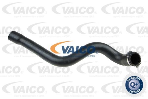 Vaico V460826 Charger Air Hose V460826: Buy near me in Poland at 2407.PL - Good price!