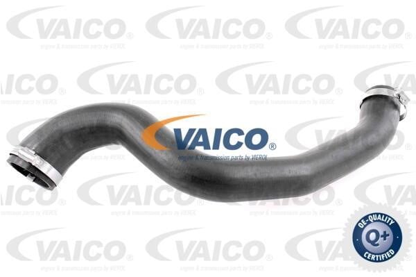 Vaico V251028 Charger Air Hose V251028: Buy near me in Poland at 2407.PL - Good price!