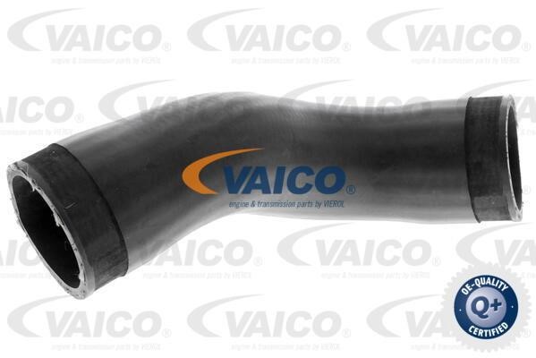Vaico V104387 Ladeluftschlauch V104387: Kaufen Sie zu einem guten Preis in Polen bei 2407.PL!
