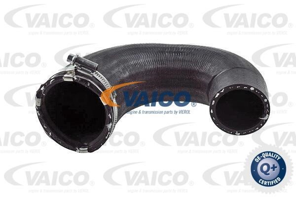 Vaico V401524 Charger Air Hose V401524: Buy near me in Poland at 2407.PL - Good price!