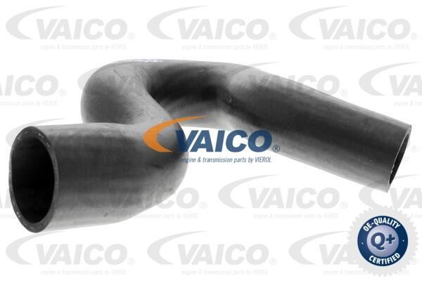 Vaico V420636 Kühlerschlauch V420636: Kaufen Sie zu einem guten Preis in Polen bei 2407.PL!