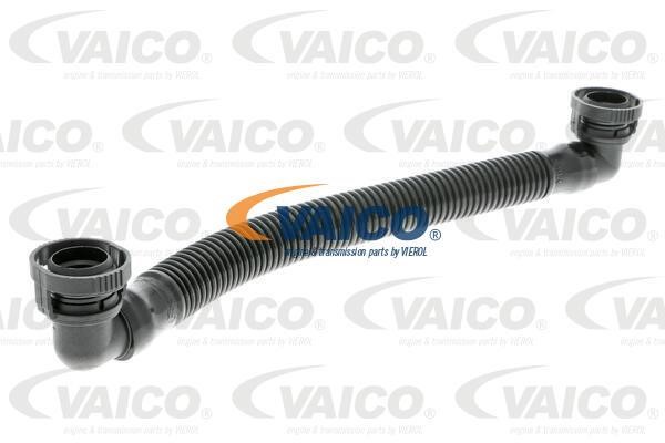 Vaico V104695 Hose, cylinder head cover breather V104695: Buy near me in Poland at 2407.PL - Good price!