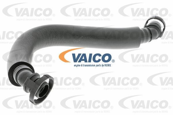 Vaico V104637 Hose, cylinder head cover breather V104637: Buy near me in Poland at 2407.PL - Good price!