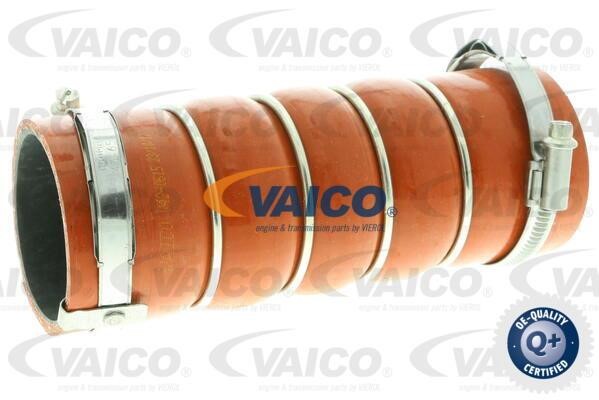 Vaico V420615 Charger Air Hose V420615: Buy near me in Poland at 2407.PL - Good price!