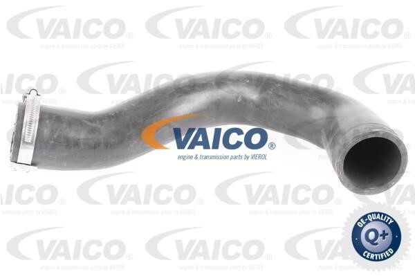 Vaico V401509 Charger Air Hose V401509: Buy near me in Poland at 2407.PL - Good price!