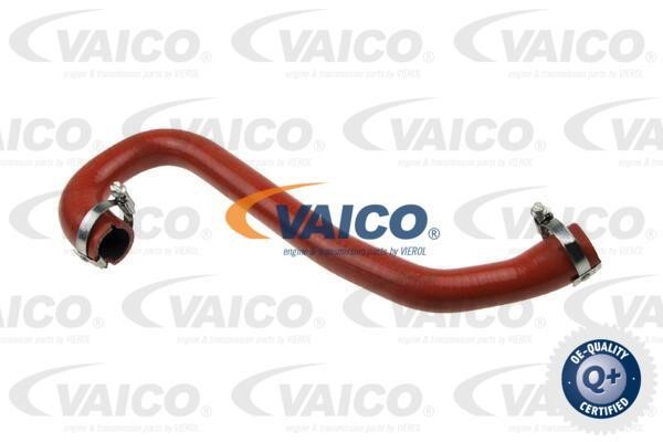 Vaico V410002 Патрубок турбокомпрессора V410002: Купить в Польше - Отличная цена на 2407.PL!