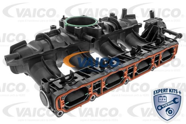 Vaico V103954 Inlet pipe V103954: Buy near me at 2407.PL in Poland at an Affordable price!