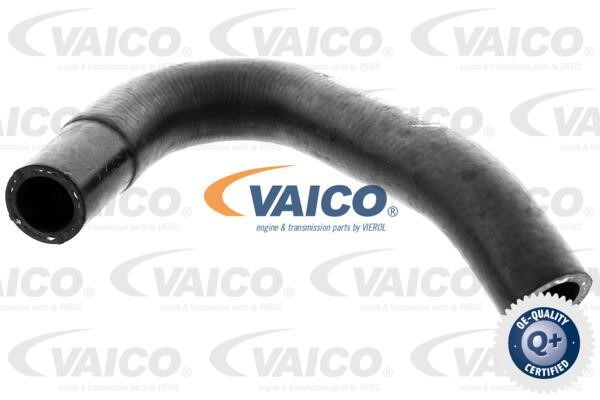 Vaico V402000 Шланг радиатора V402000: Отличная цена - Купить в Польше на 2407.PL!