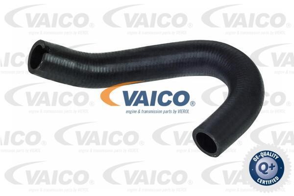 Vaico V240727 Charger Air Hose V240727: Buy near me in Poland at 2407.PL - Good price!