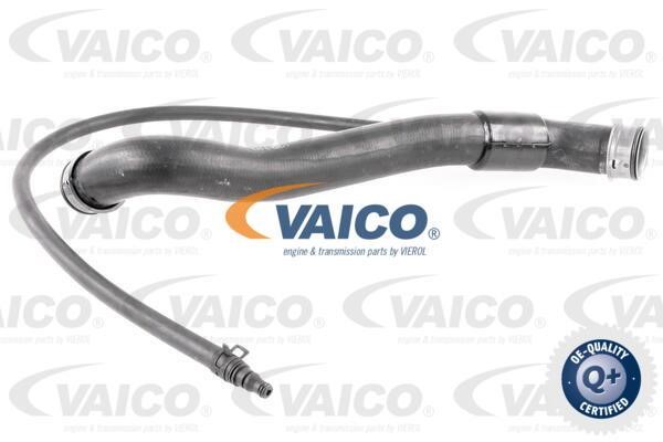 Vaico V303142 Kühlerschlauch V303142: Kaufen Sie zu einem guten Preis in Polen bei 2407.PL!