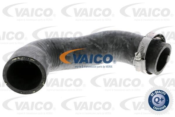 Vaico V210028 Charger Air Hose V210028: Buy near me in Poland at 2407.PL - Good price!