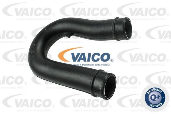 Vaico V401519 Патрубок турбокомпрессора V401519: Отличная цена - Купить в Польше на 2407.PL!