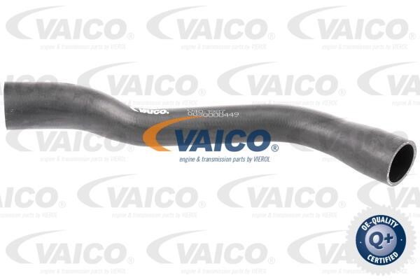Vaico V401987 Шланг для удаление воздуха, топливный бак V401987: Отличная цена - Купить в Польше на 2407.PL!