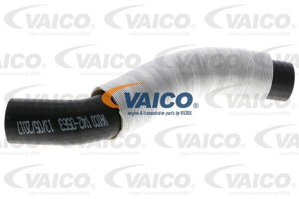 Vaico V420563 Charger Air Hose V420563: Buy near me in Poland at 2407.PL - Good price!