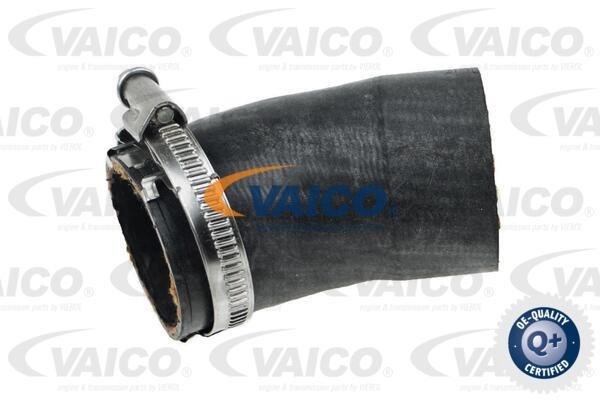 Vaico V104382 Charger Air Hose V104382: Buy near me in Poland at 2407.PL - Good price!
