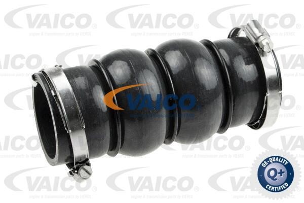 Vaico V420579 Charger Air Hose V420579: Buy near me in Poland at 2407.PL - Good price!
