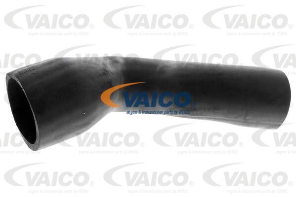 Vaico V401930 Charger Air Hose V401930: Buy near me in Poland at 2407.PL - Good price!