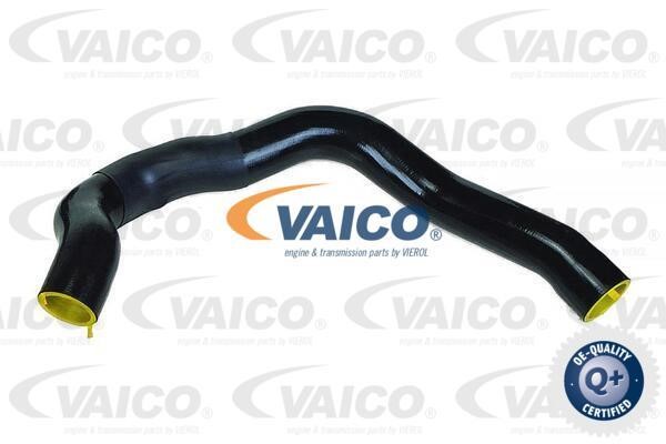 Vaico V240678 Charger Air Hose V240678: Buy near me in Poland at 2407.PL - Good price!