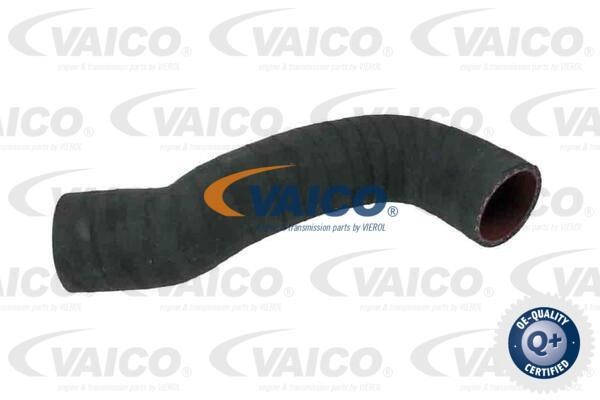 Vaico V950351 Charger Air Hose V950351: Buy near me in Poland at 2407.PL - Good price!