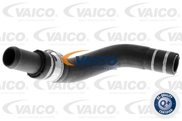 Vaico V240805 Kühlerschlauch V240805: Kaufen Sie zu einem guten Preis in Polen bei 2407.PL!