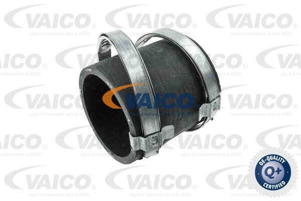 Vaico V950355 Charger Air Hose V950355: Buy near me in Poland at 2407.PL - Good price!