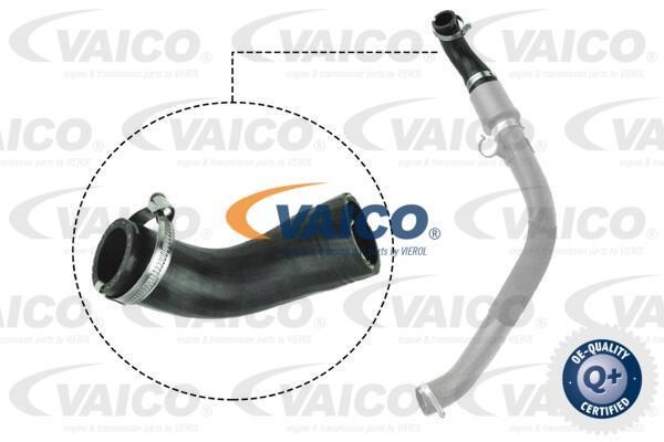 Vaico V251044 Charger Air Hose V251044: Buy near me in Poland at 2407.PL - Good price!