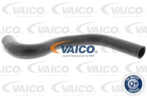Vaico V420640 Kühlerschlauch V420640: Kaufen Sie zu einem guten Preis in Polen bei 2407.PL!