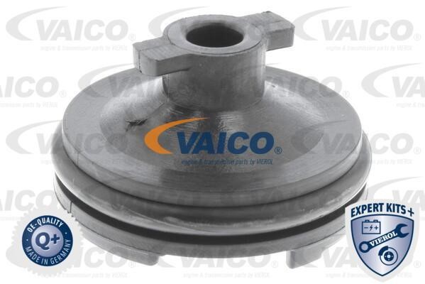 Vaico V251116 Sump plug V251116: Buy near me at 2407.PL in Poland at an Affordable price!