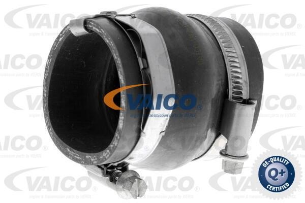 Vaico V420570 Charger Air Hose V420570: Buy near me in Poland at 2407.PL - Good price!