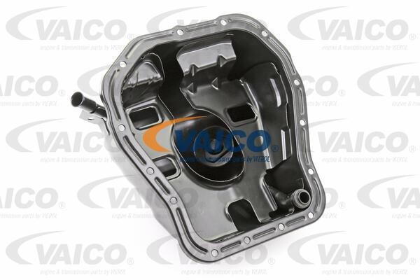 Vaico V630025 Oil Pan V630025: Buy near me in Poland at 2407.PL - Good price!