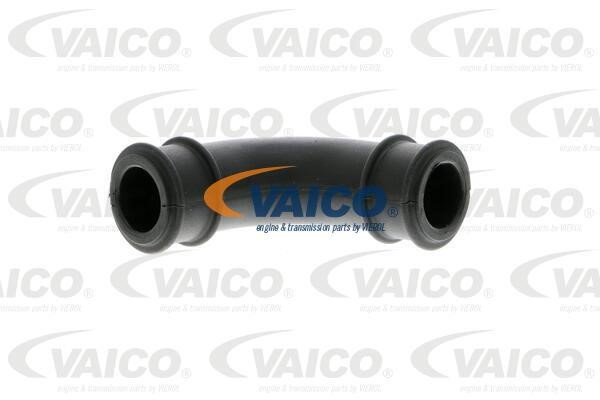 Vaico V104631 Hose, cylinder head cover breather V104631: Buy near me in Poland at 2407.PL - Good price!