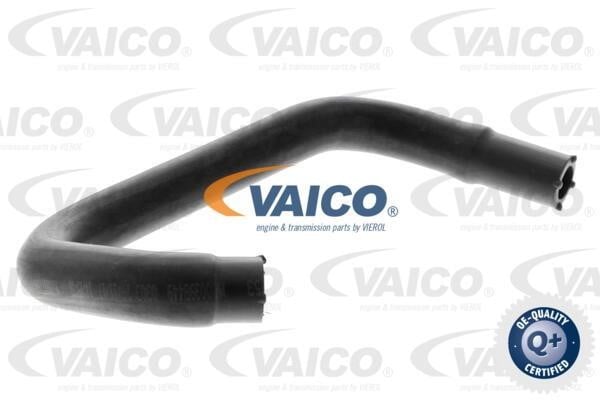 Vaico V251222 Шланг, вентиляция картера V251222: Отличная цена - Купить в Польше на 2407.PL!