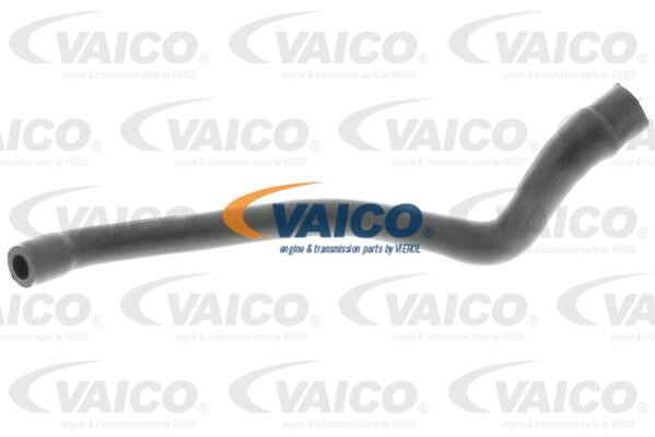 Vaico V302536 Schlauch, Zylinderkopfhaubenentlüftung V302536: Kaufen Sie zu einem guten Preis in Polen bei 2407.PL!