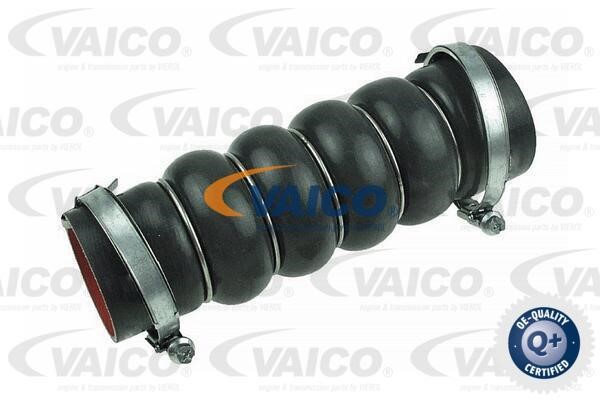 Vaico V251042 Charger Air Hose V251042: Buy near me in Poland at 2407.PL - Good price!