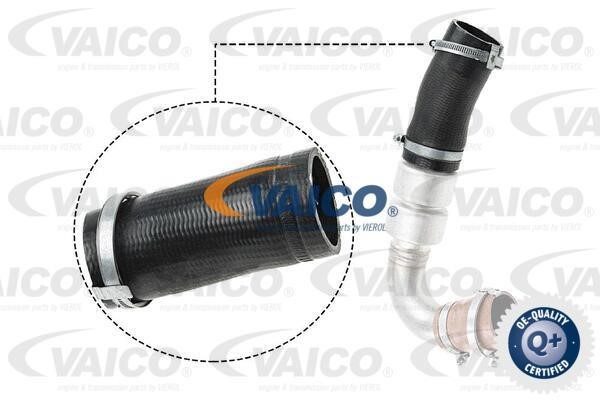 Vaico V251036 Charger Air Hose V251036: Buy near me in Poland at 2407.PL - Good price!