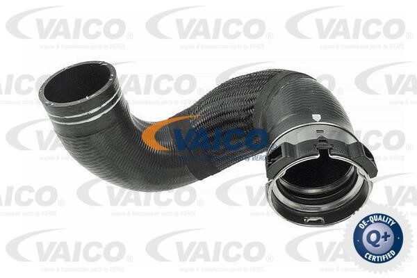 Vaico V240677 Charger Air Hose V240677: Buy near me in Poland at 2407.PL - Good price!